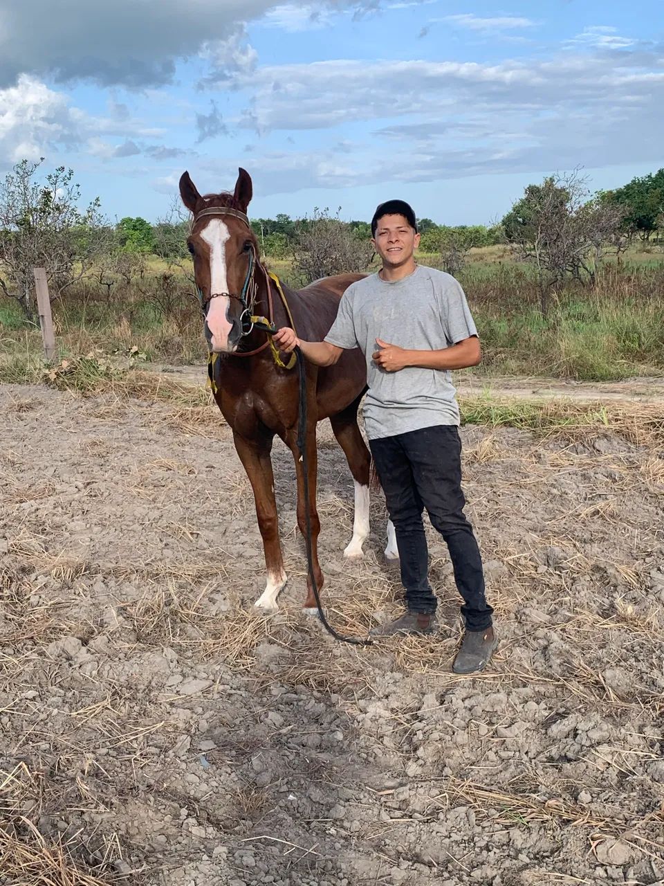 Cavalo  - Foto 2