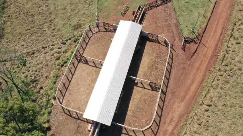 Fazenda  135  alq. oportunidade - Foto 3