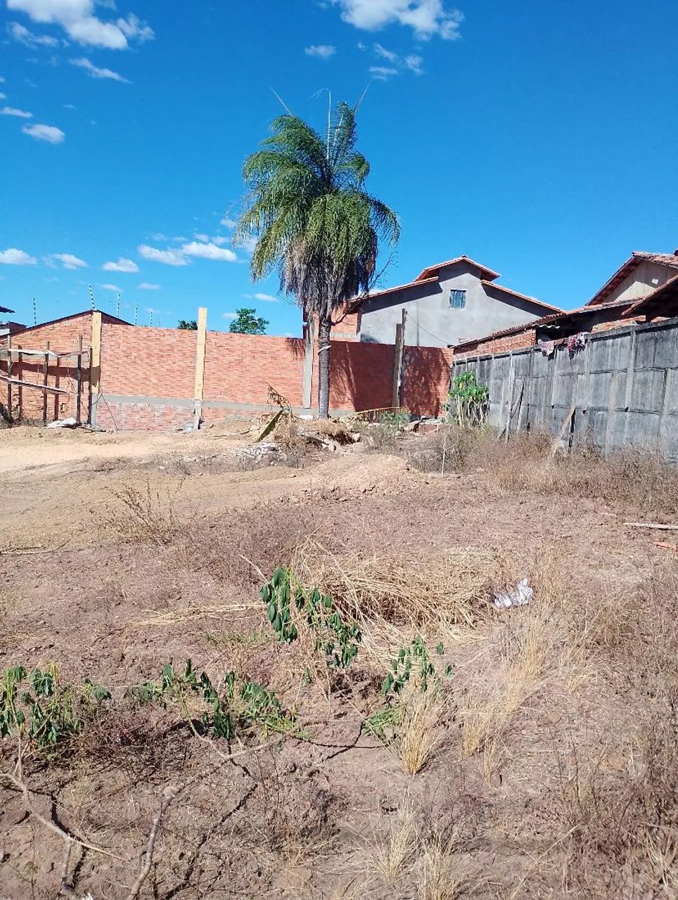 Oportunidade Lote quitado Recanto do bosque/ colinas - Foto 4