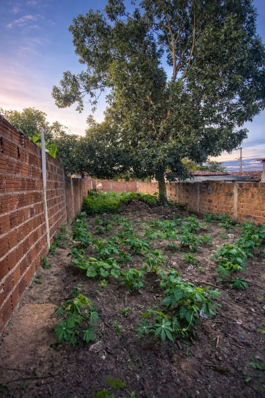 terreno em Macaíba