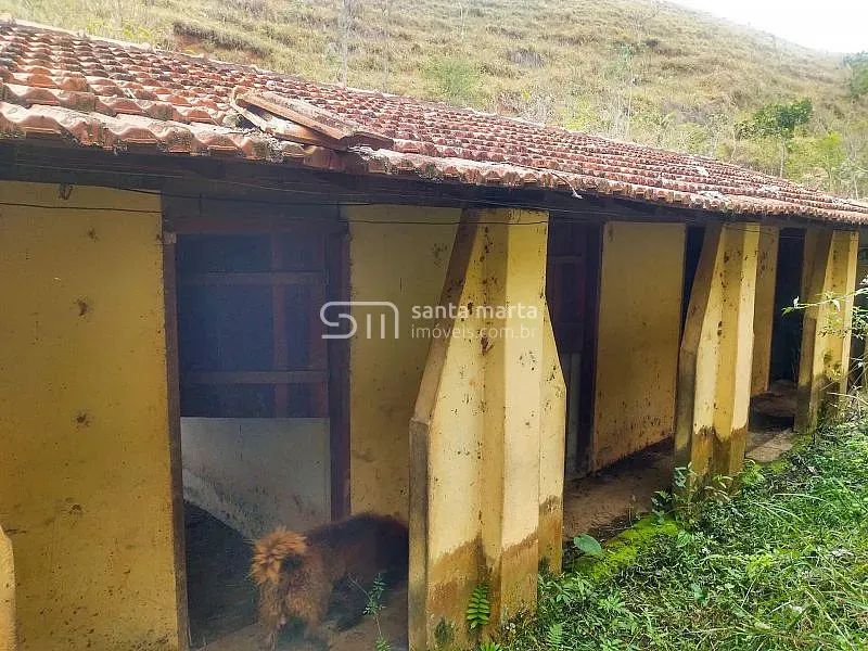 SÍTIO COM ÓTIMA SEDE /GADO LEITE/CORTE - LORENA - SP - Foto 5