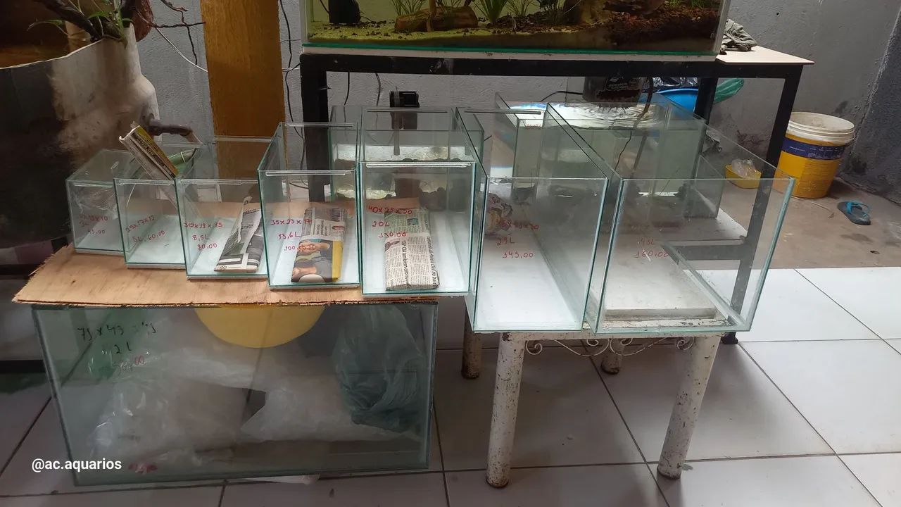 Aquários de diversos tamanhos 