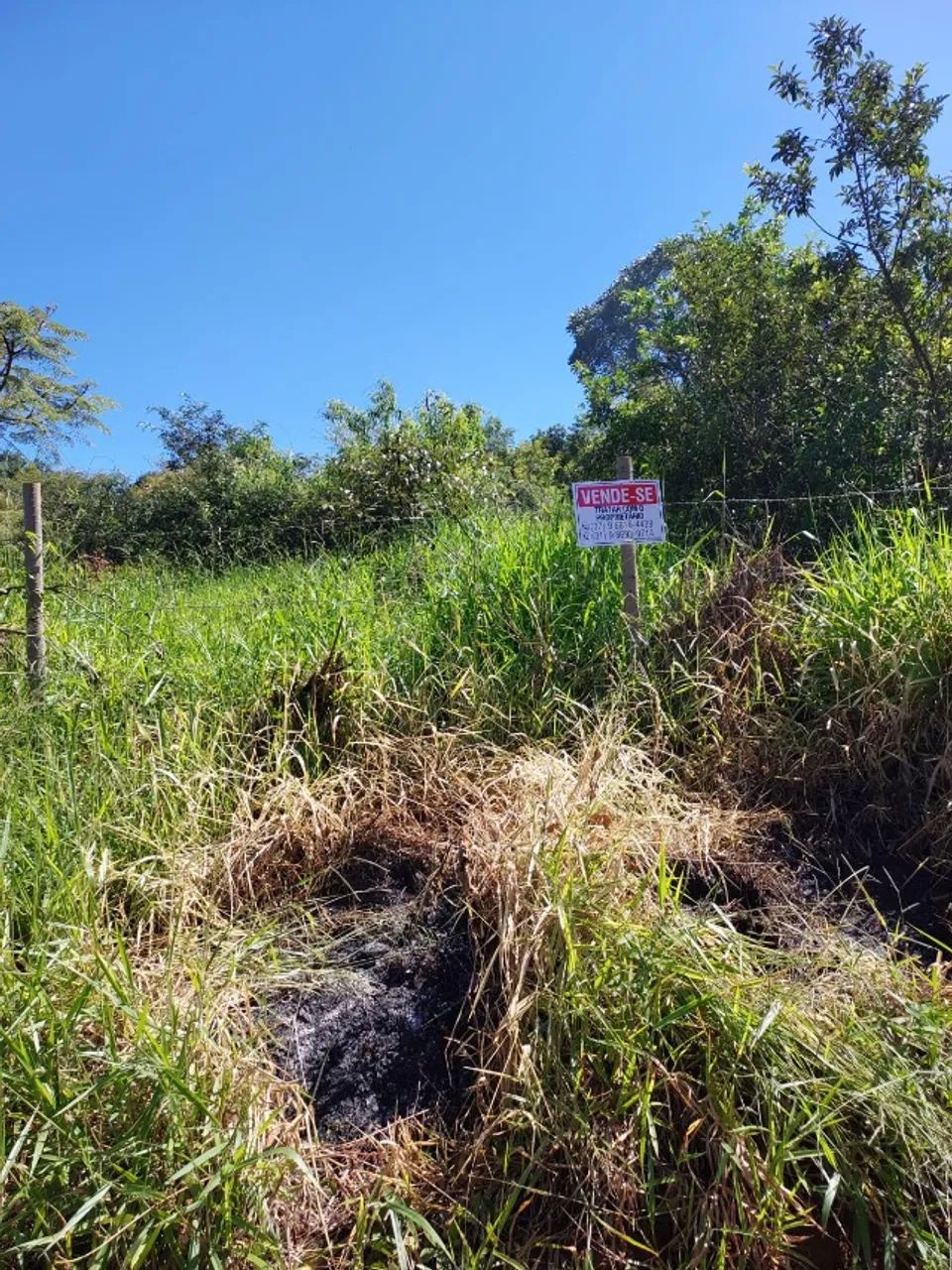 Chácara 2.000m² - Foto 3