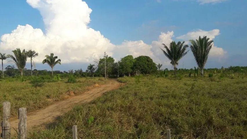 Sítio a 26 km de Porto Velho - Foto 2