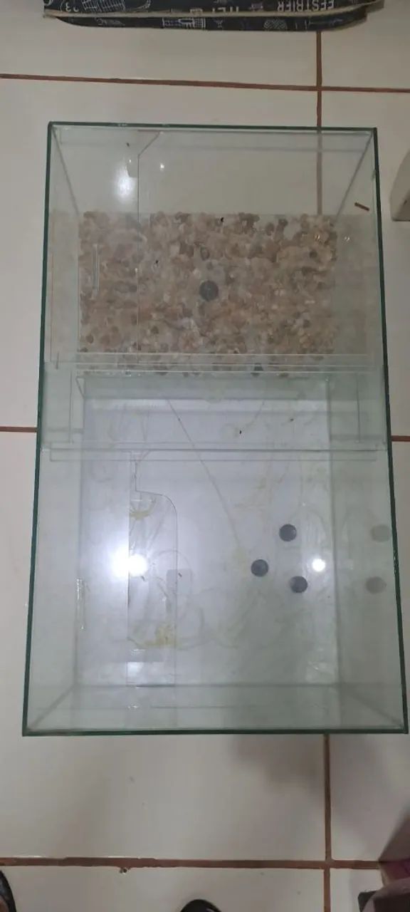Terrário/ Aquário 
