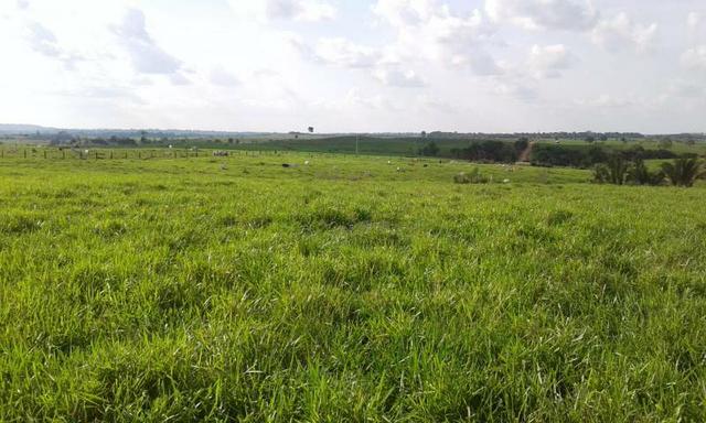 Fazenda 388 alqueires top #ref082