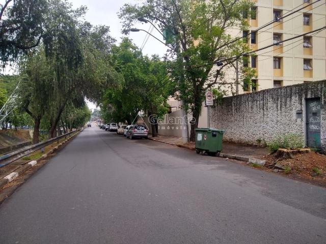 Terreno para alugar com 0 dormitórios em Cambuí, Campinas cod:TE049120 - Foto 3