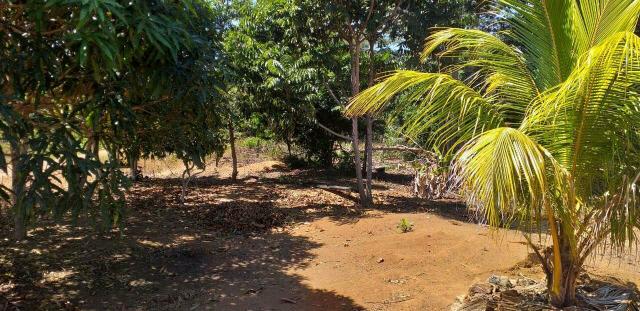 Vendo ou Troco chácara em Porto Velho - Foto 4