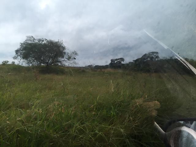 Chácaras - Foto 5