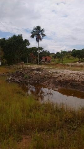 Oportunidades venda de fazenda de 14 alq em Uruaçu GO - Foto 5