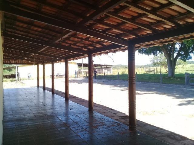 Fazenda para venda em Formosa-GO - Foto 3