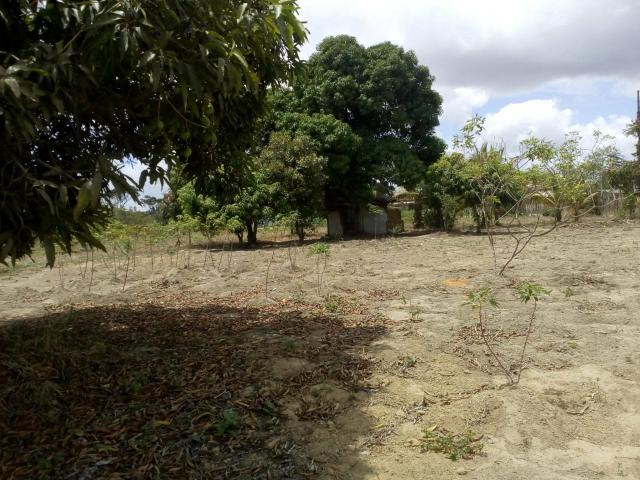 Vendo um Terreno - Foto 2