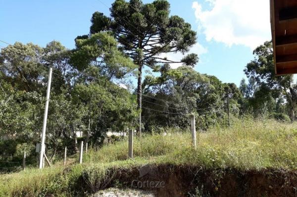 Chácara com 42.350,00m² em Agudos do Sul - Foto 8