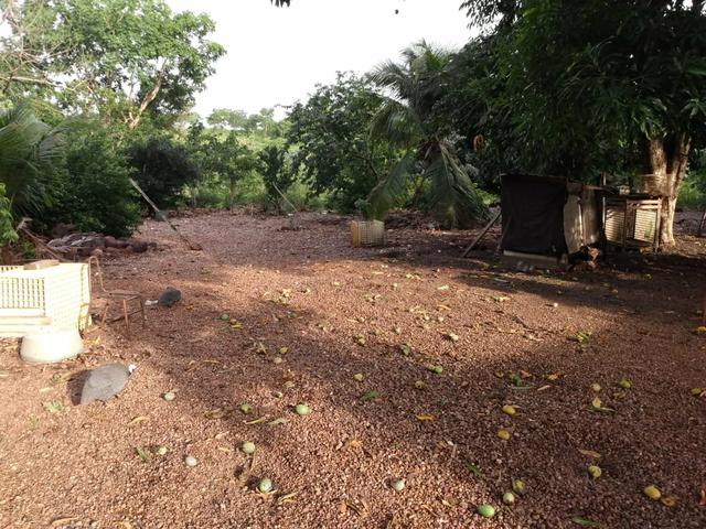 Troca e venda chácara - Foto 6