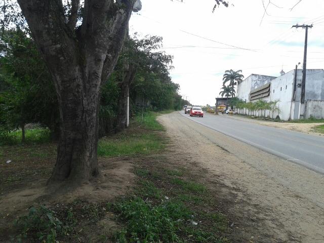 Sitio - Foto 12
