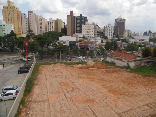 Terreno para alugar com 0 dormitórios em Cambuí, Campinas cod:AR003053 - Foto 6
