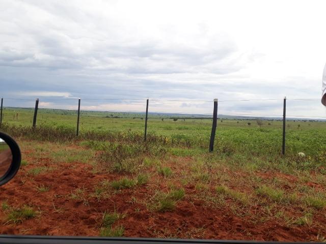 Fazenda 4000 hectares - Foto 4