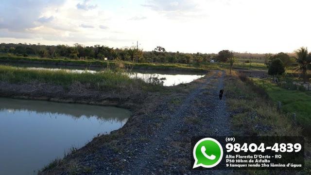 Chácara com 9 Represas no Asfalto em Alta Floresta - Foto 4