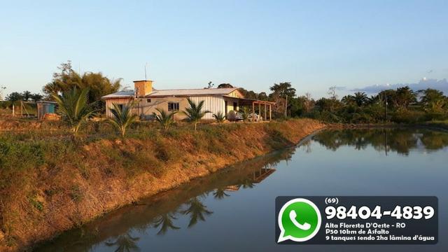 Chácara com 9 Represas no Asfalto em Alta Floresta - Foto 2