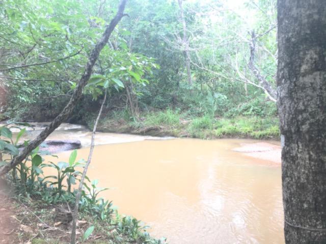 Alugo Chácara em Taquaruçu, Palmas - Tocantins - Foto 12