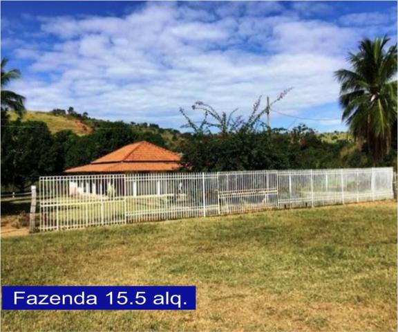 Adquira Já Seu Imovel Rural - Foto 11