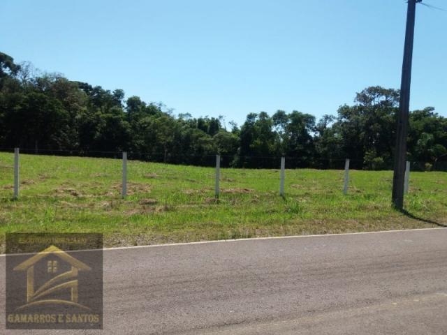 Chácara com 5.000 m² em quatro barras - Foto 2