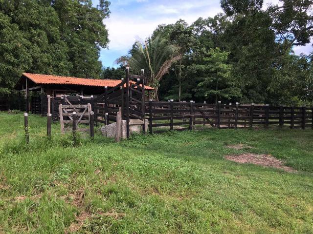 Bela fazenda com 450 hectares, super estruturada em Itapecuru -Mirim! - Foto 5