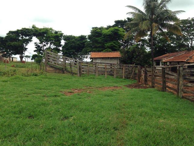 25 Alqueires-Avelinópolis Goiás-Próx. Goiânia-Excelente Preço R$ 150.000,00 o Alqueire - Foto 15