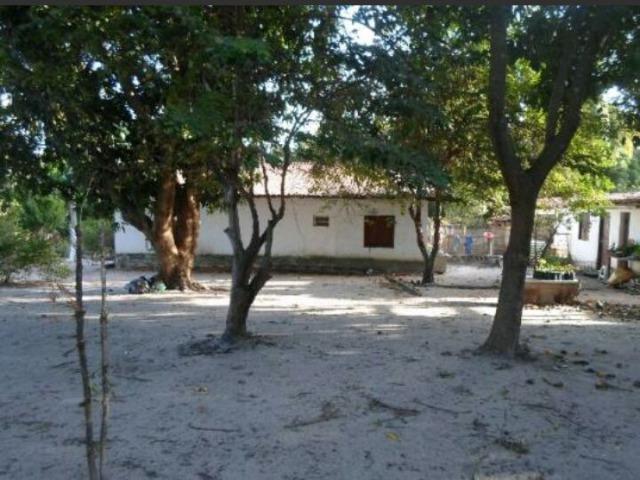 Vendo Chacara no cumbique por R$ 85 mil reais - Foto 10
