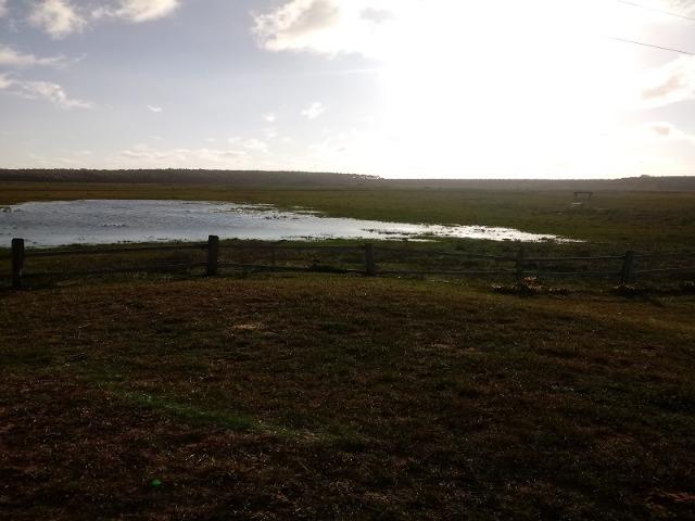 Bela Fazenda - Foto 5