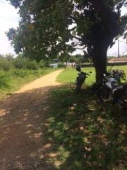 Granja-Chácara-Sítio 1,6 Hectares em Olinda, Aceito Automóvel ou imóvel - Foto 4