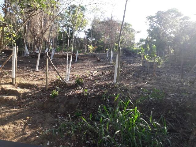 Terreno em Pindobal - Bambuí - Maricá - Foto 2