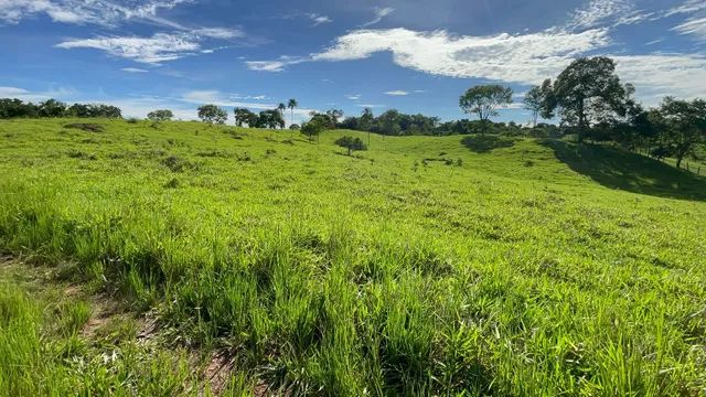 Vende-Se 13 alqueires em Trindade-GO - Foto 3