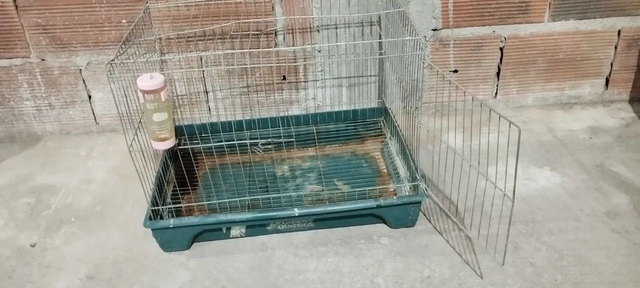 Gaiola para Roedores - Aceito ofertas - Foto 4