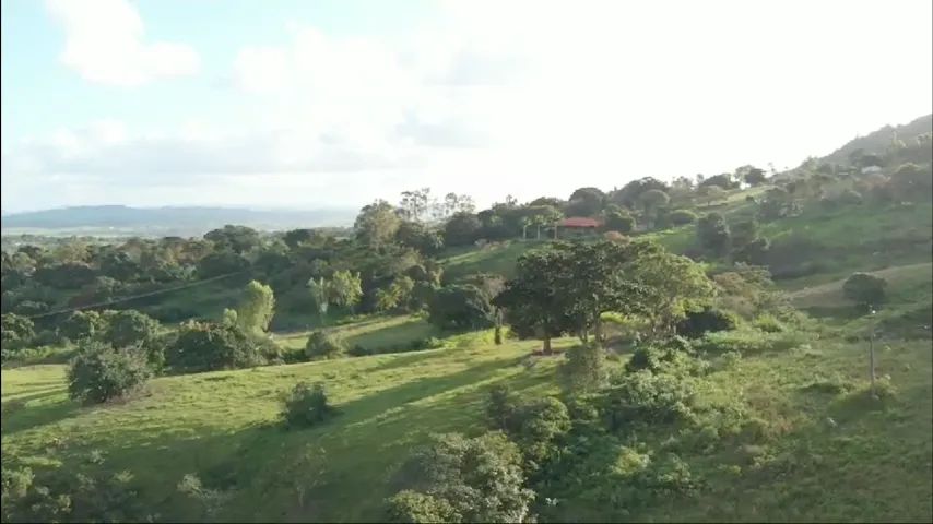 Fazenda em Bonito/PE à Venda (FA0084-DV) - Foto 5