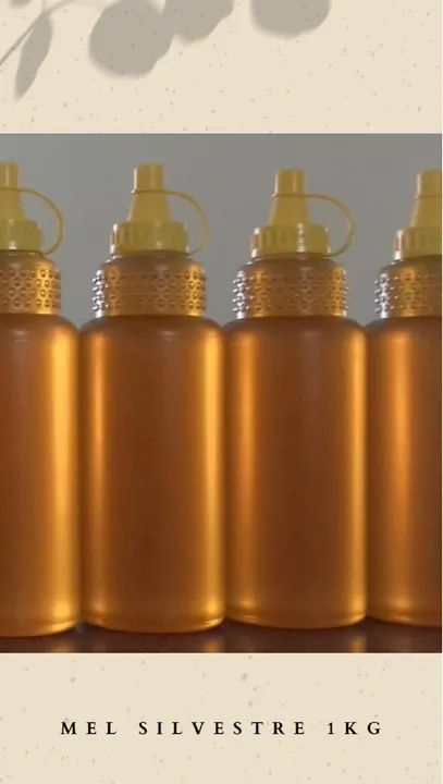 Mel de Flores Silvestres - Pote 1kg