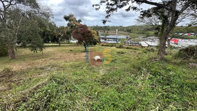 Vendo Terreno Proximo JS Pinheiro - Foto 2
