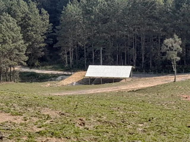 Sítio 24,7 Hectares, açude, riacho, pastagem - 4ª Linha, Angelina  - Foto 2