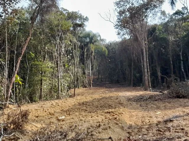 Sítio 24,7 Hectares, açude, riacho, pastagem - 4ª Linha, Angelina  - Foto 4