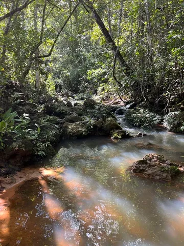 Sítio na região da Água fria