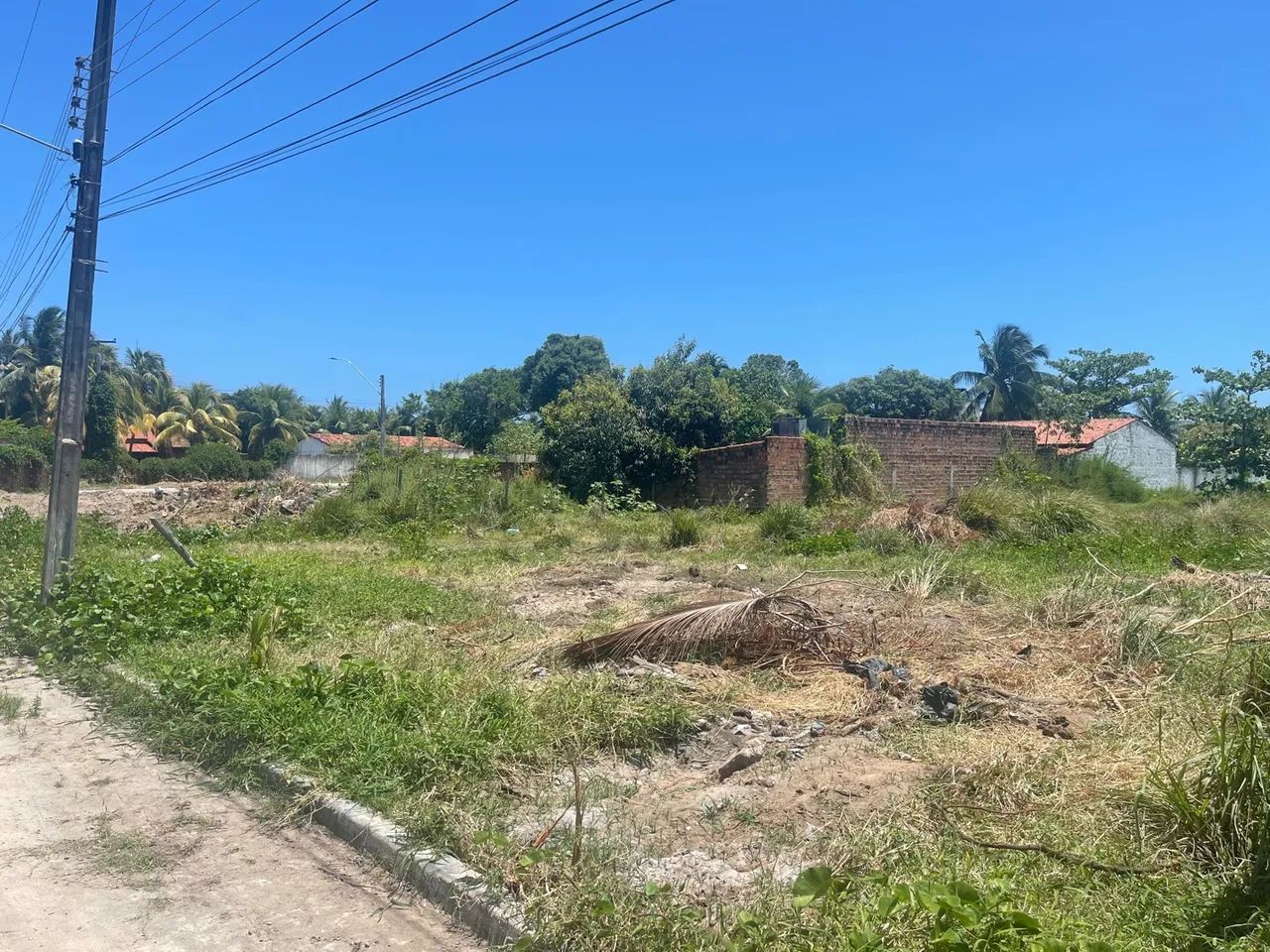 Terreno Barra de São Miguel - Foto 3