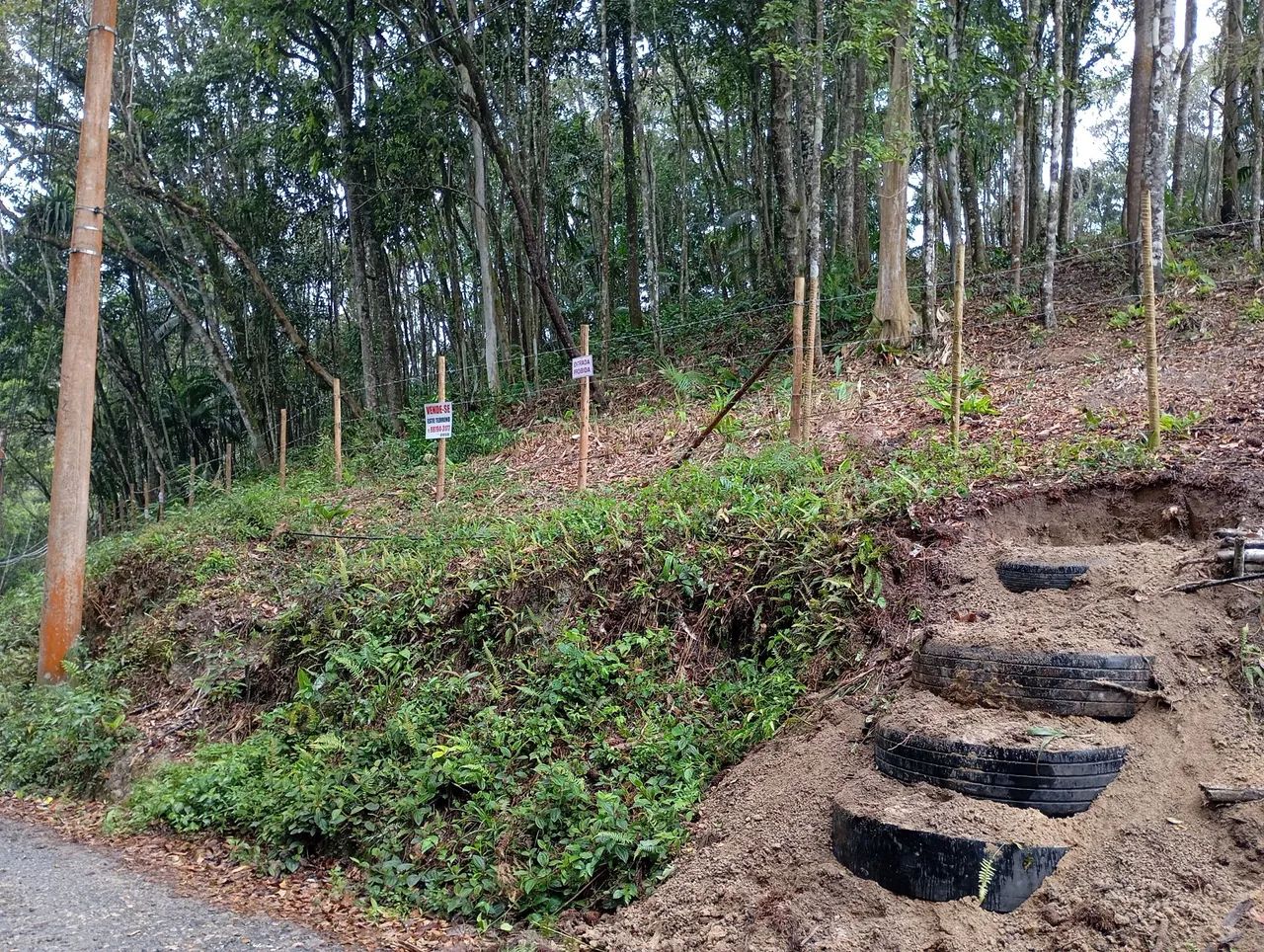 Foto - Embu das Artes - Parque Pirajussara