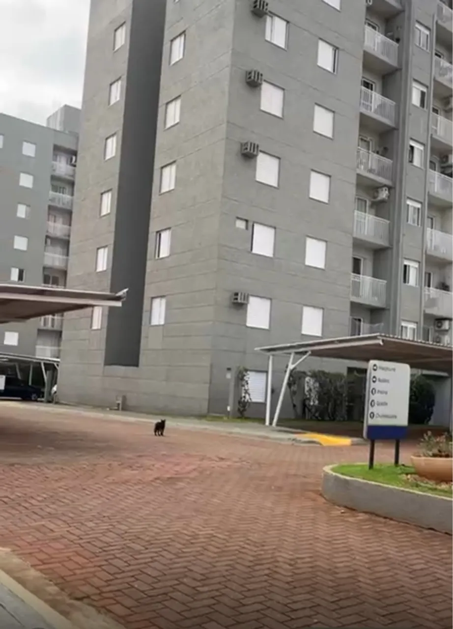 Venda apartamento
