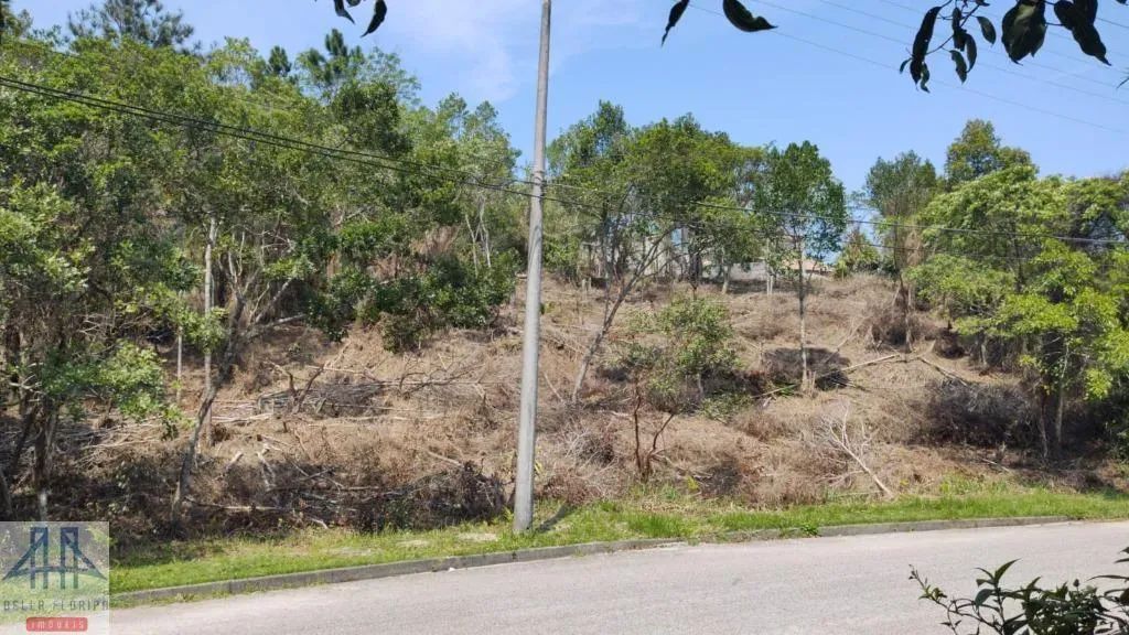 Terreno à venda, 1500 m² por R$ 1.915.000,00 - João Paulo - Florianópolis/SC - Foto 5