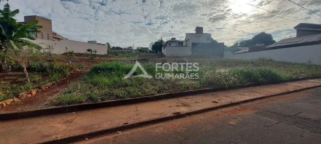 - Ribeirão Preto