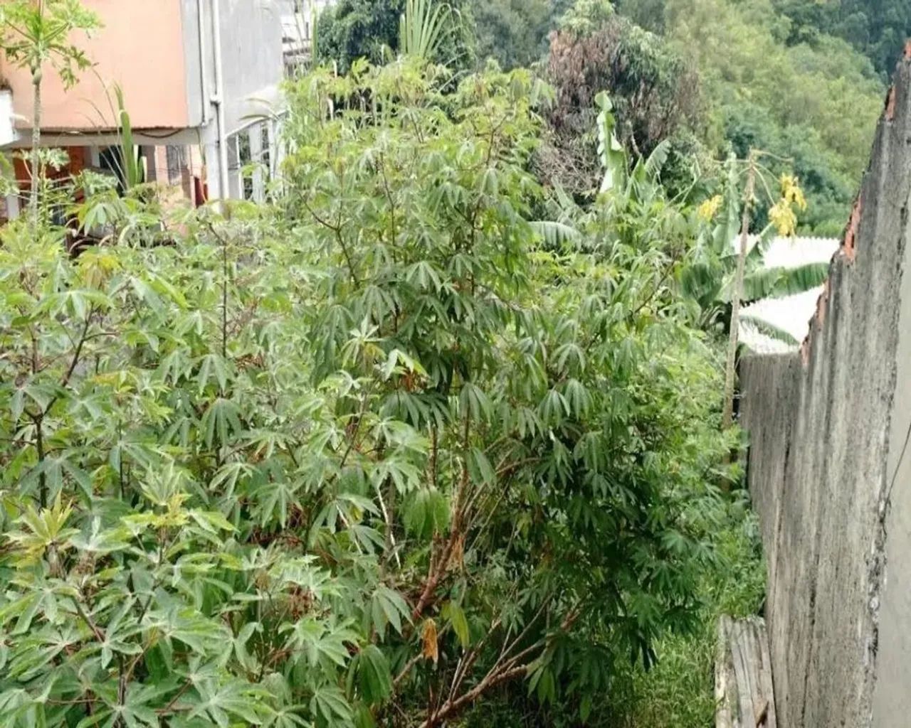 Terreno - Cidade Intercap - 220,00m² de área total - Foto 2