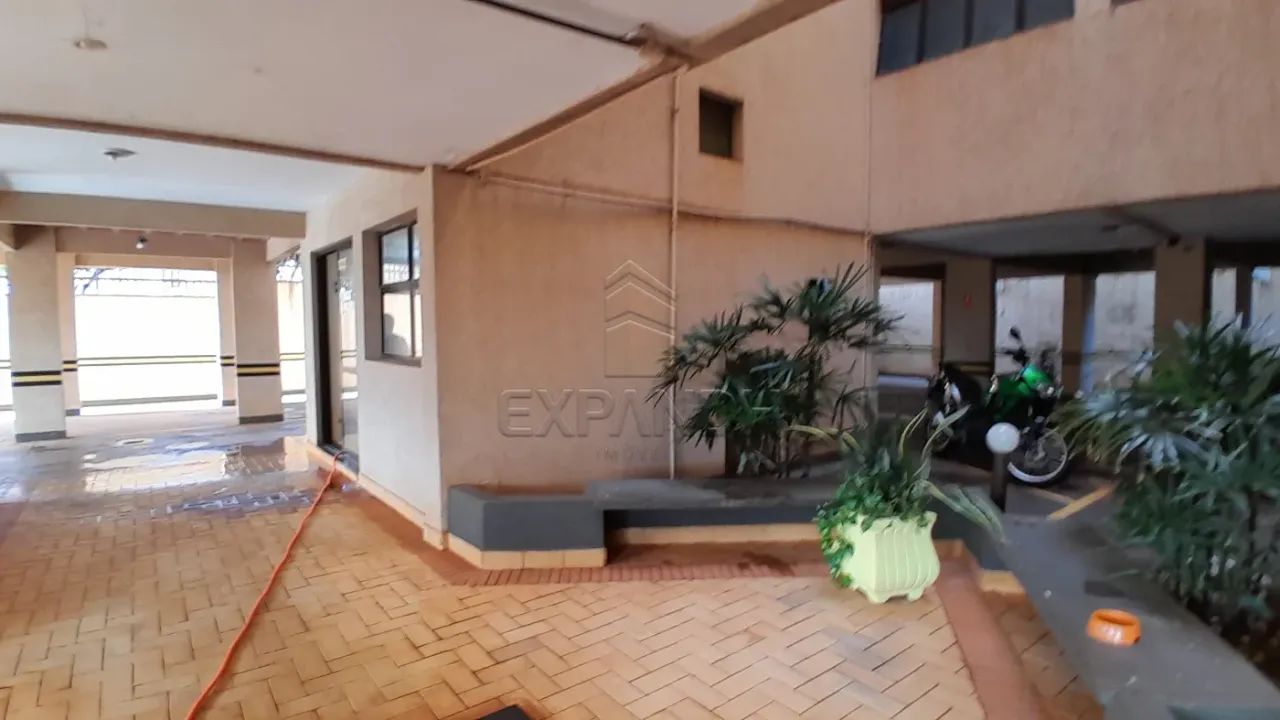Apartamentos Padrão em Sertãozinho - Foto 3