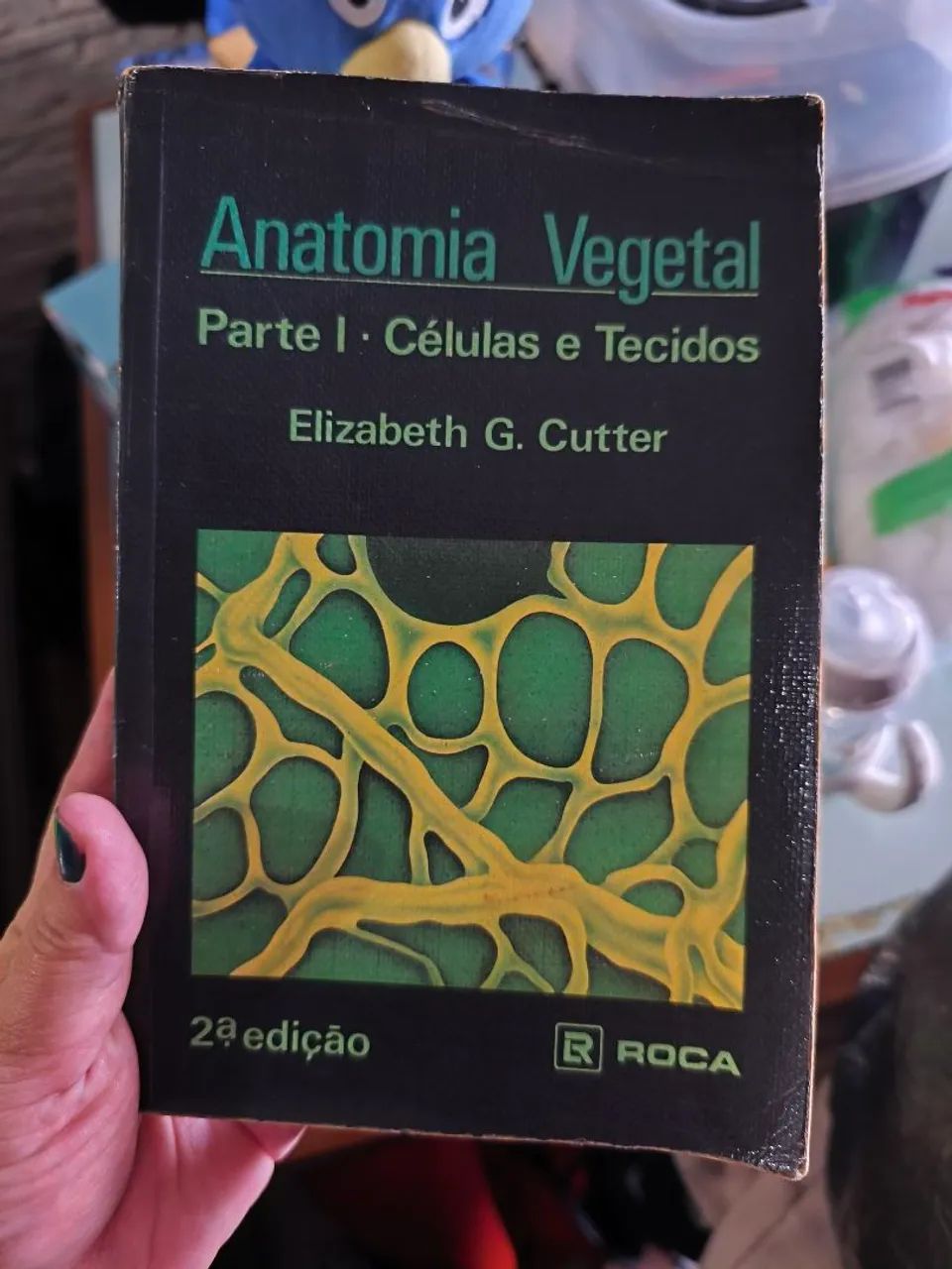 Anatomia Vegetal 2ª Edição 