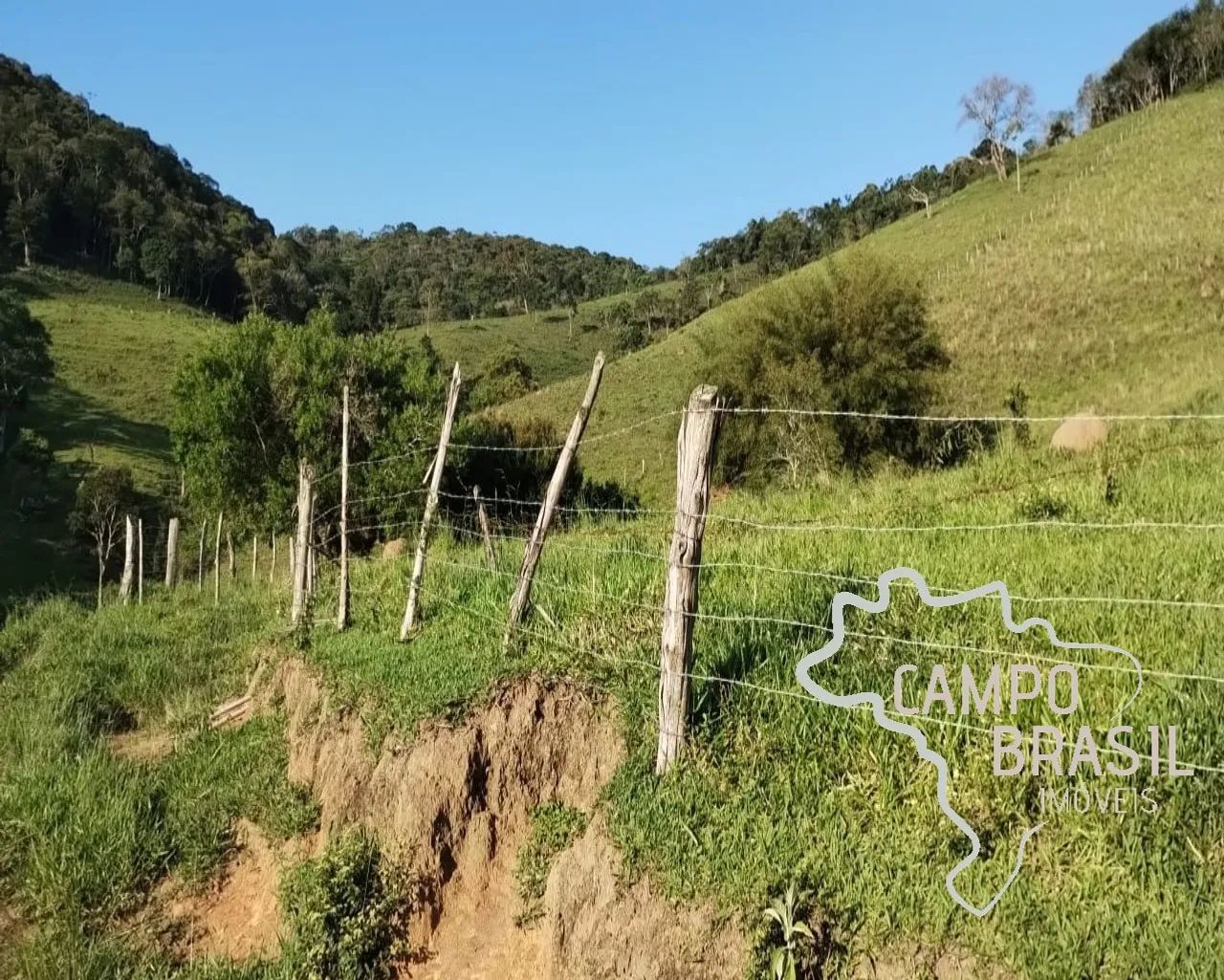 SÍTIO 23 ALQUEIRES EM TAUBATÉ ! - Foto 2