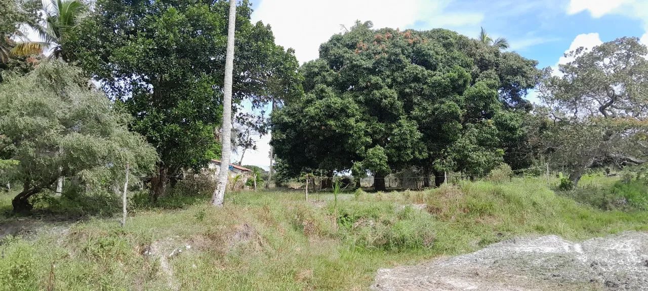 Sitio 3 taferas itaporanga  - Foto 6